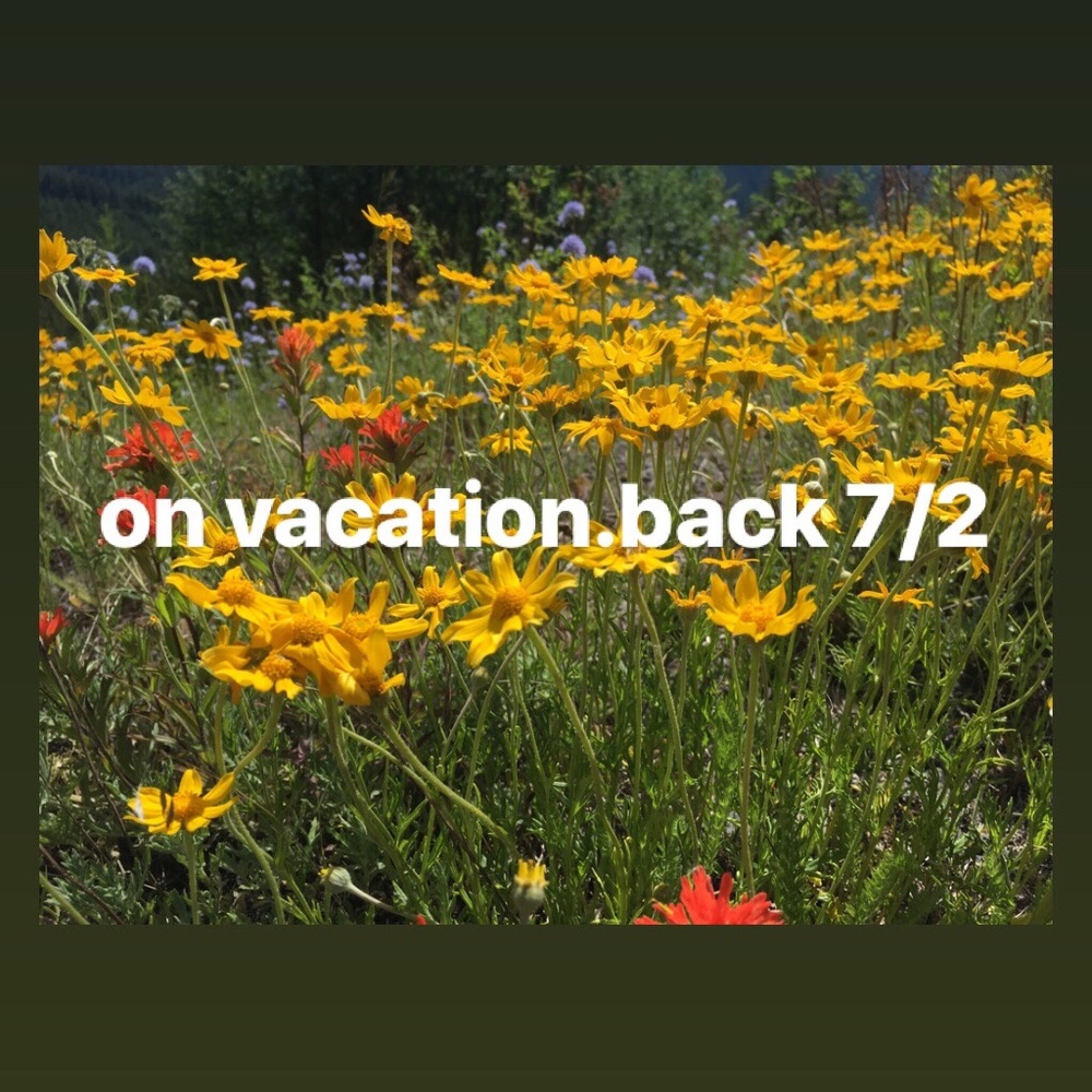 🌲